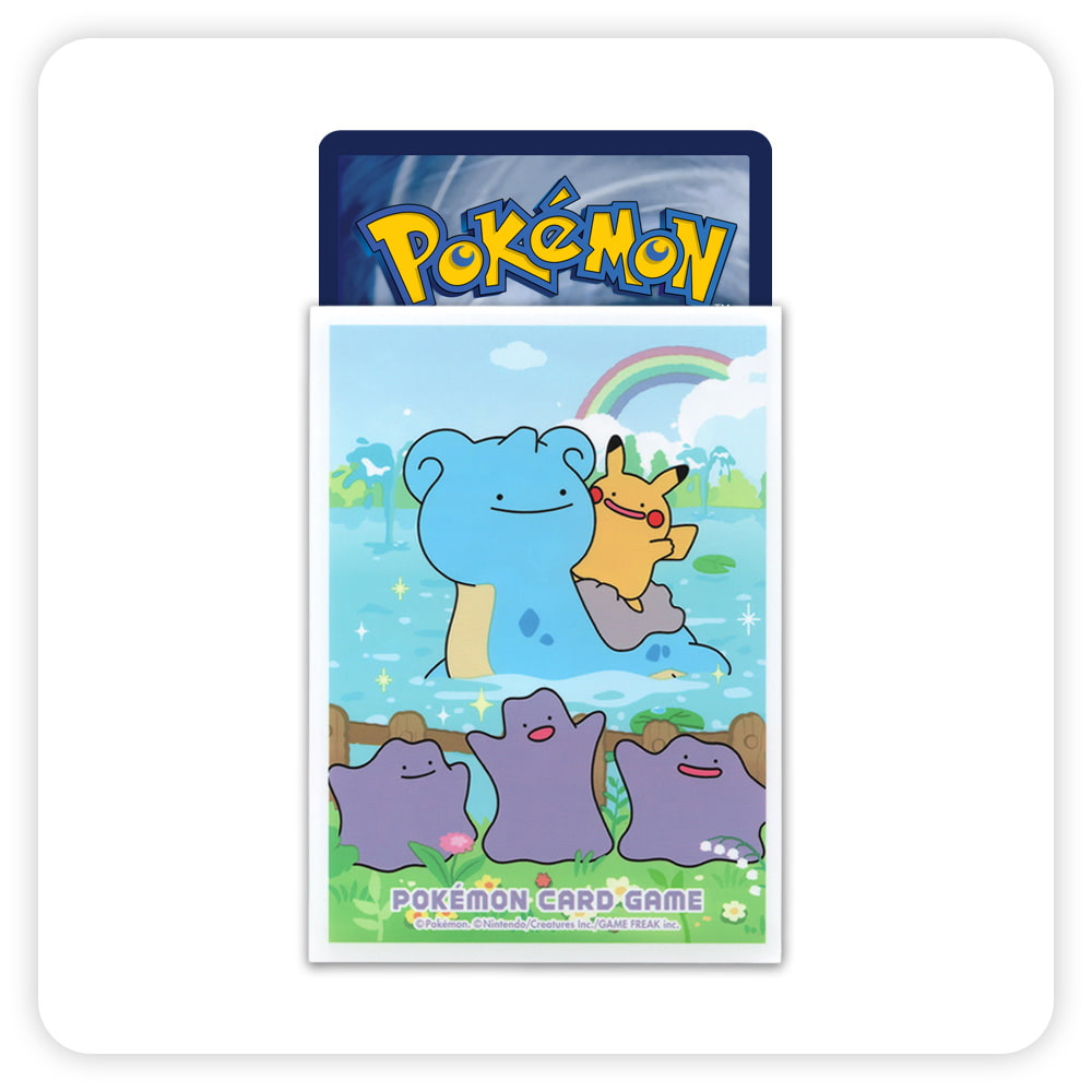 Card Sleeves