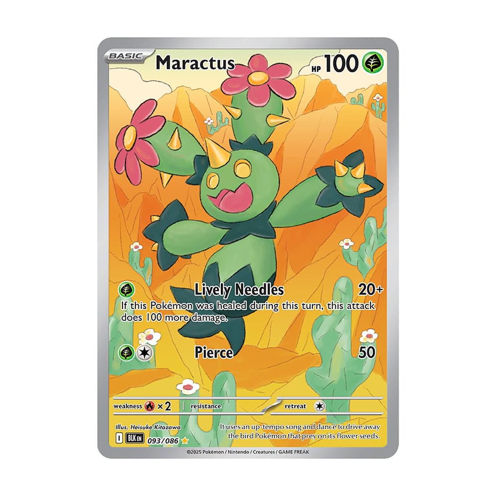 Maractus