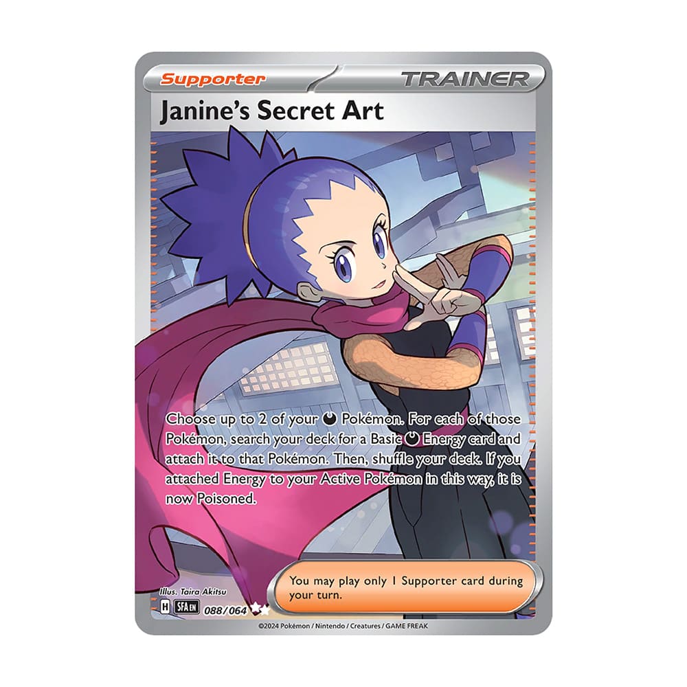 Janine's Secret Art