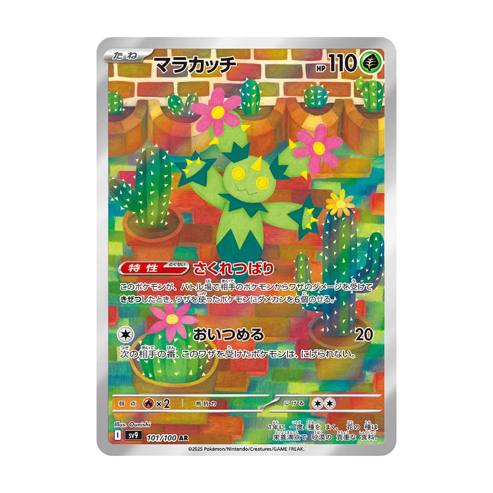 Maractus