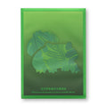 Pokémon Simplified Chinese 2025 151 Gift Box Bulbasaur Individual Card Sleeve